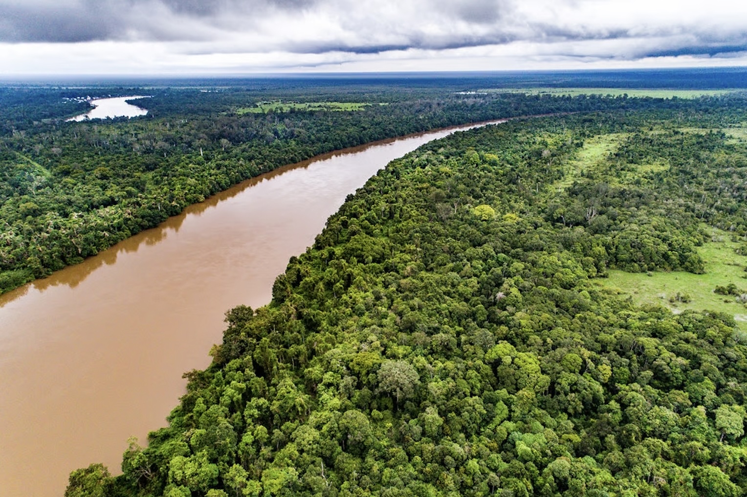 Product: Katingan Peatland Restoration and Conservation